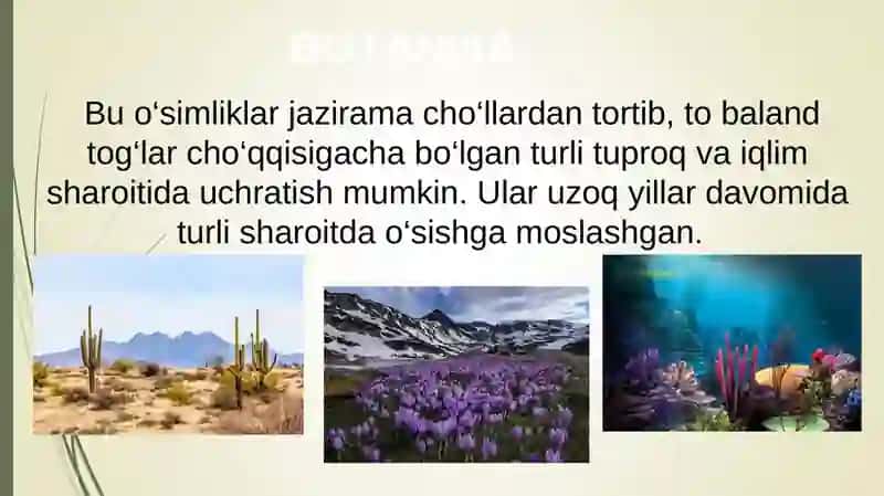 BIOLOGIYA 5-SINF 1- LABORATORIYA MASHG‘ULOTI 3
