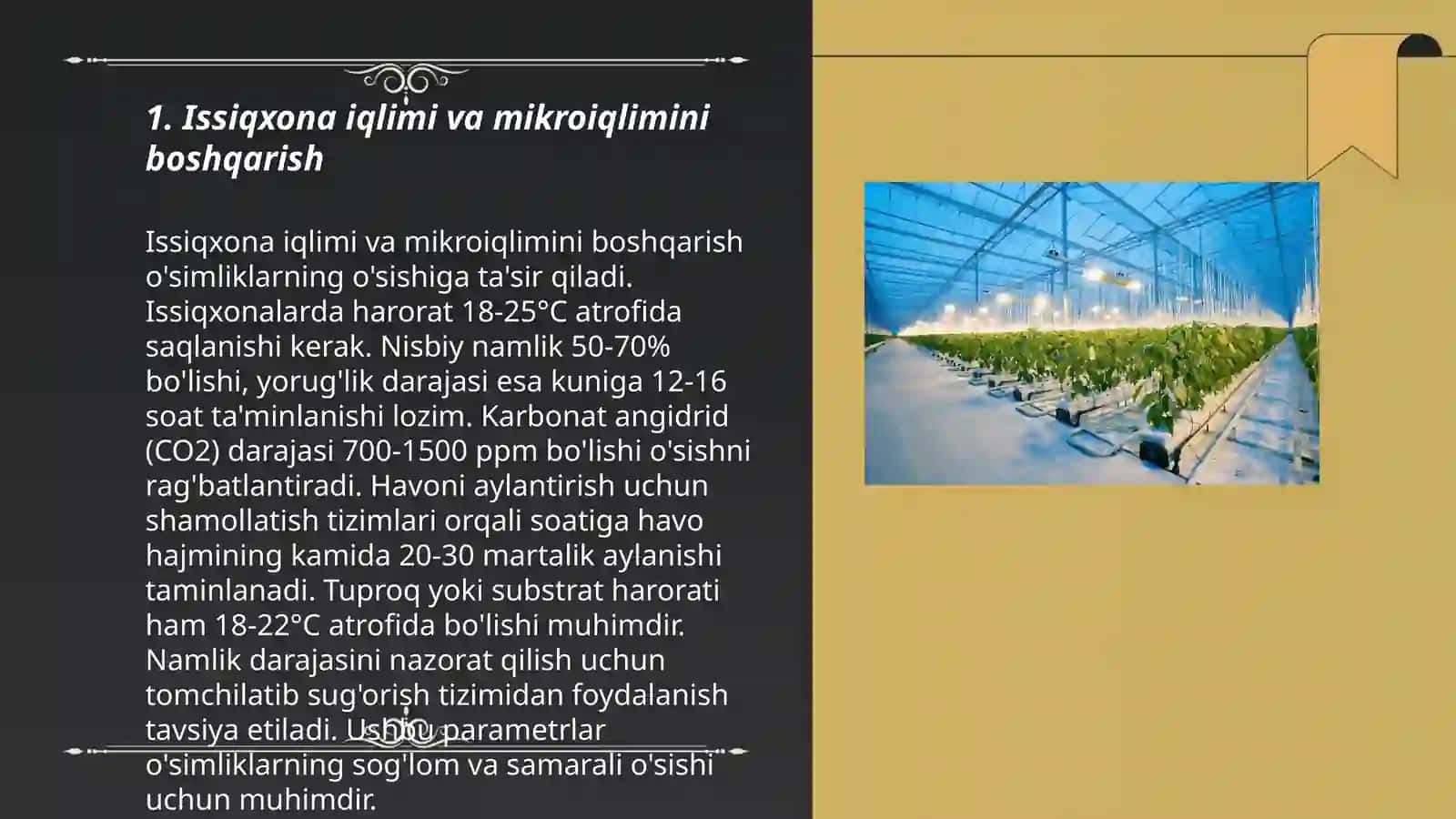 Issiqxonalarda limon o'simligini yetishtirish 3