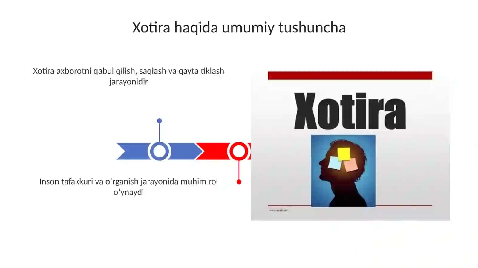 Xotira turlari va uning jarayonlari 3