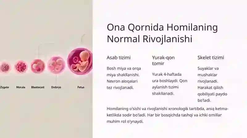 Ona Qornida Rivojlanish Patologiyasi: Sabablar, Belgilar va Oldini Olish 3