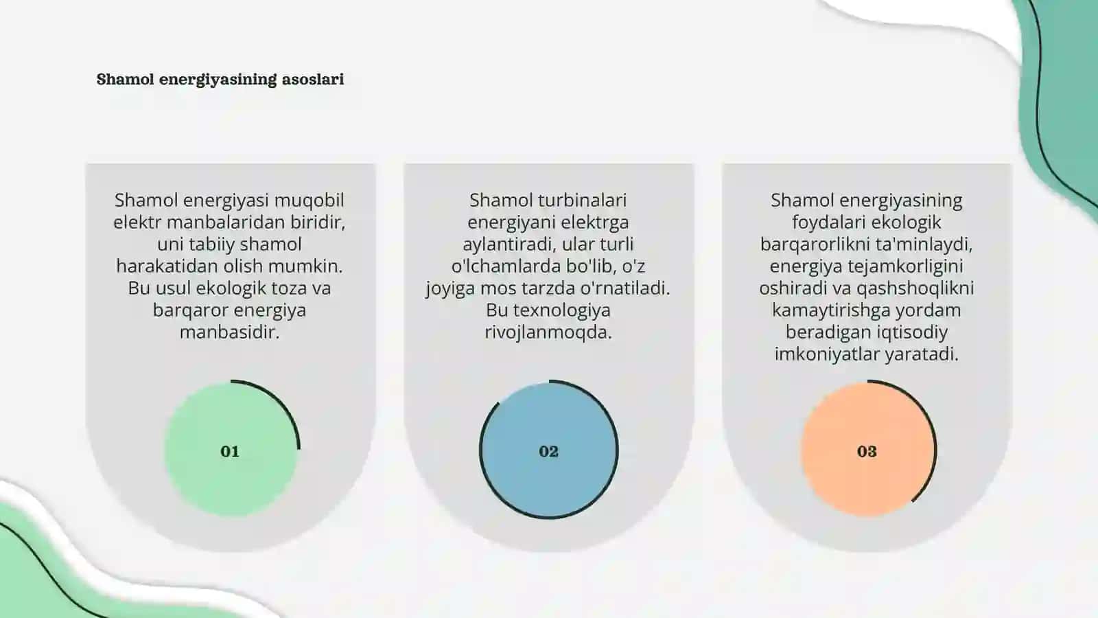 Muqobil elektr manbalari: shamol energiyasi 3