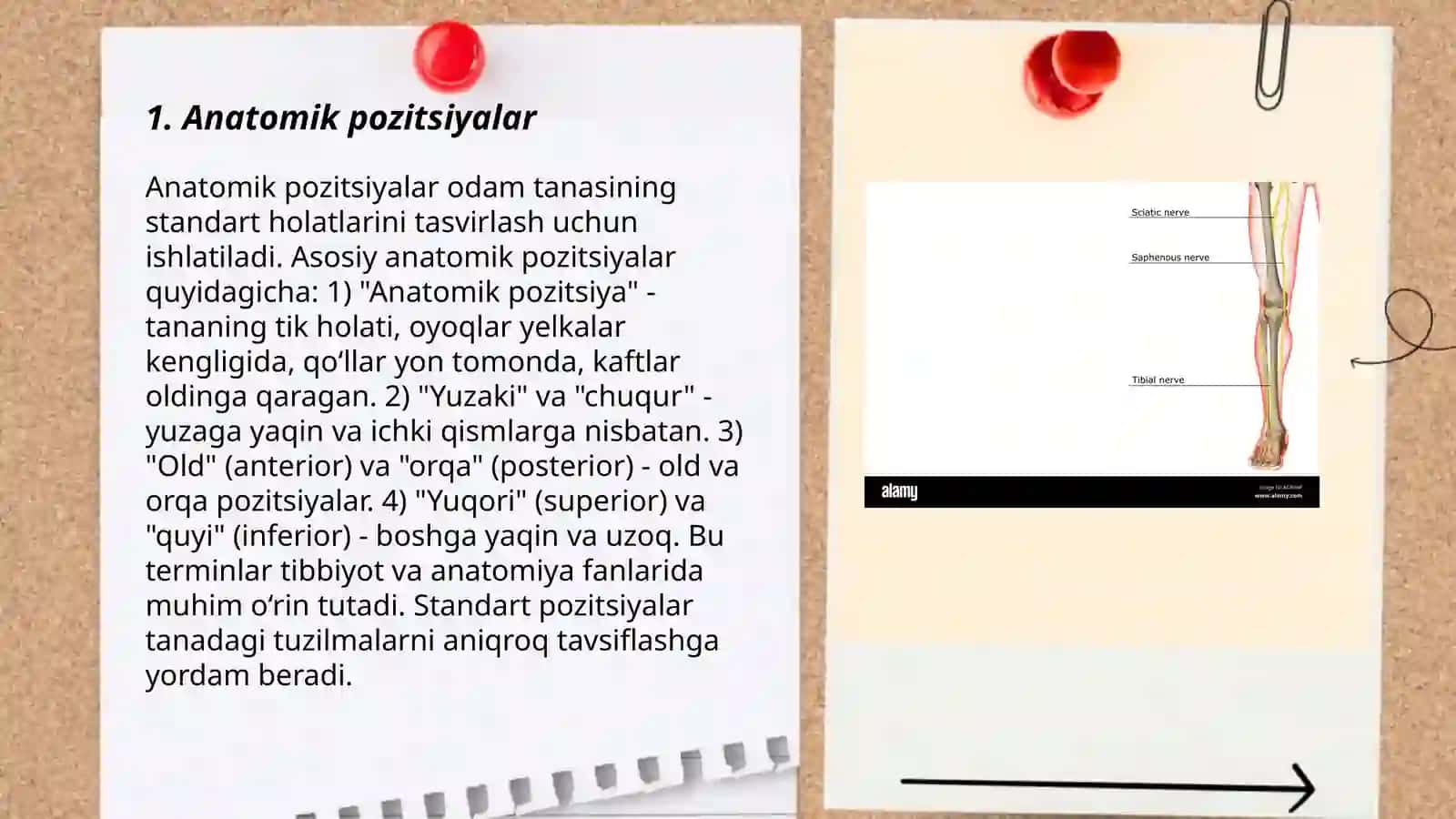 Anatomiya usullari.Tana o’qi va satxlari 3