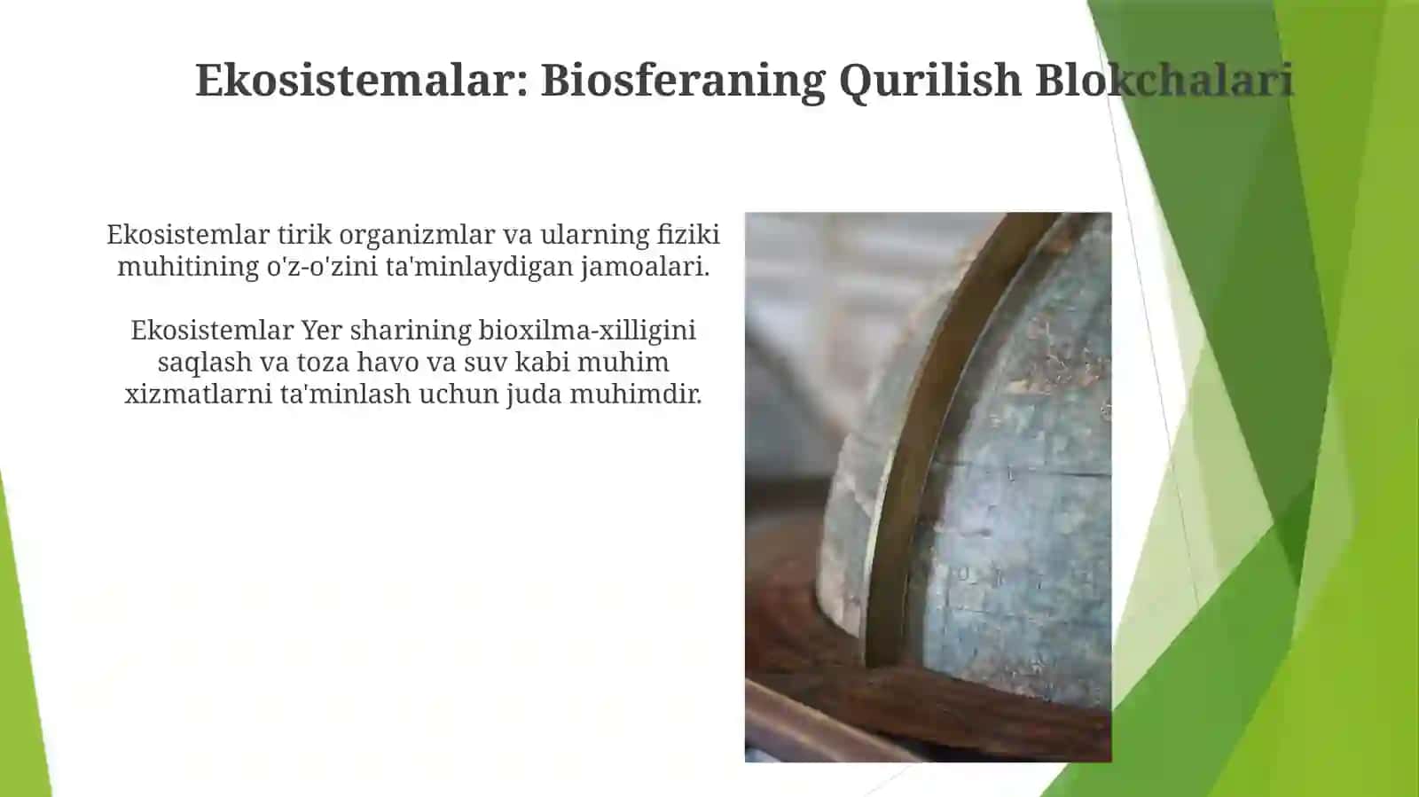 Ekosistemalar: Biosferaning Qurilish Blokchalari 3