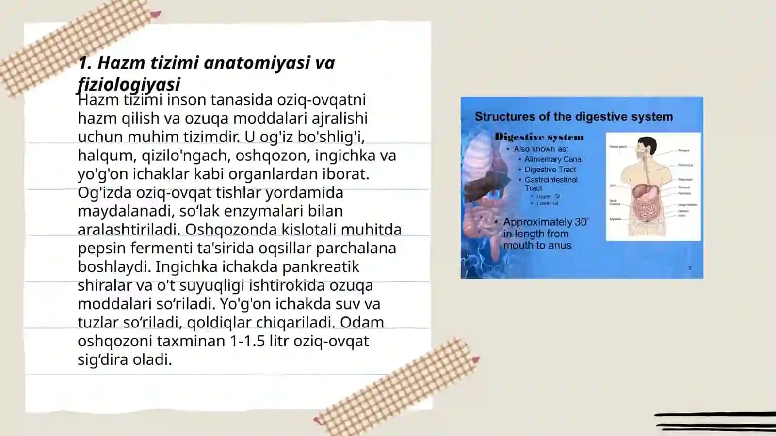 Hazm sistemasida kasalliklari bo’lgan bemorlarparvarishi 3