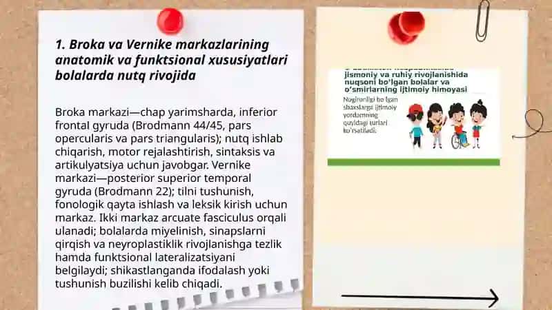 Bolalar nutqining rivojlanishida neyropsixologik mexanizmlar: Broka va Vernike markazlari faoliyati 3