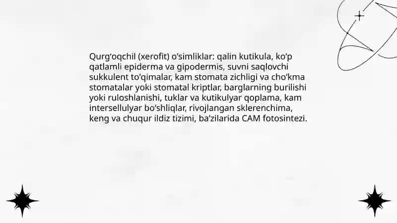 Turli ekologik guruhlarga mansub oʻsimliklarning morfoanatomik tuzilishi 3