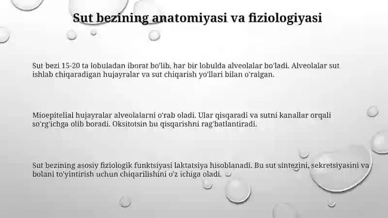 Sut bezining faoliyatini boshqarish va neyroendokrin regulyatsiyasi 3