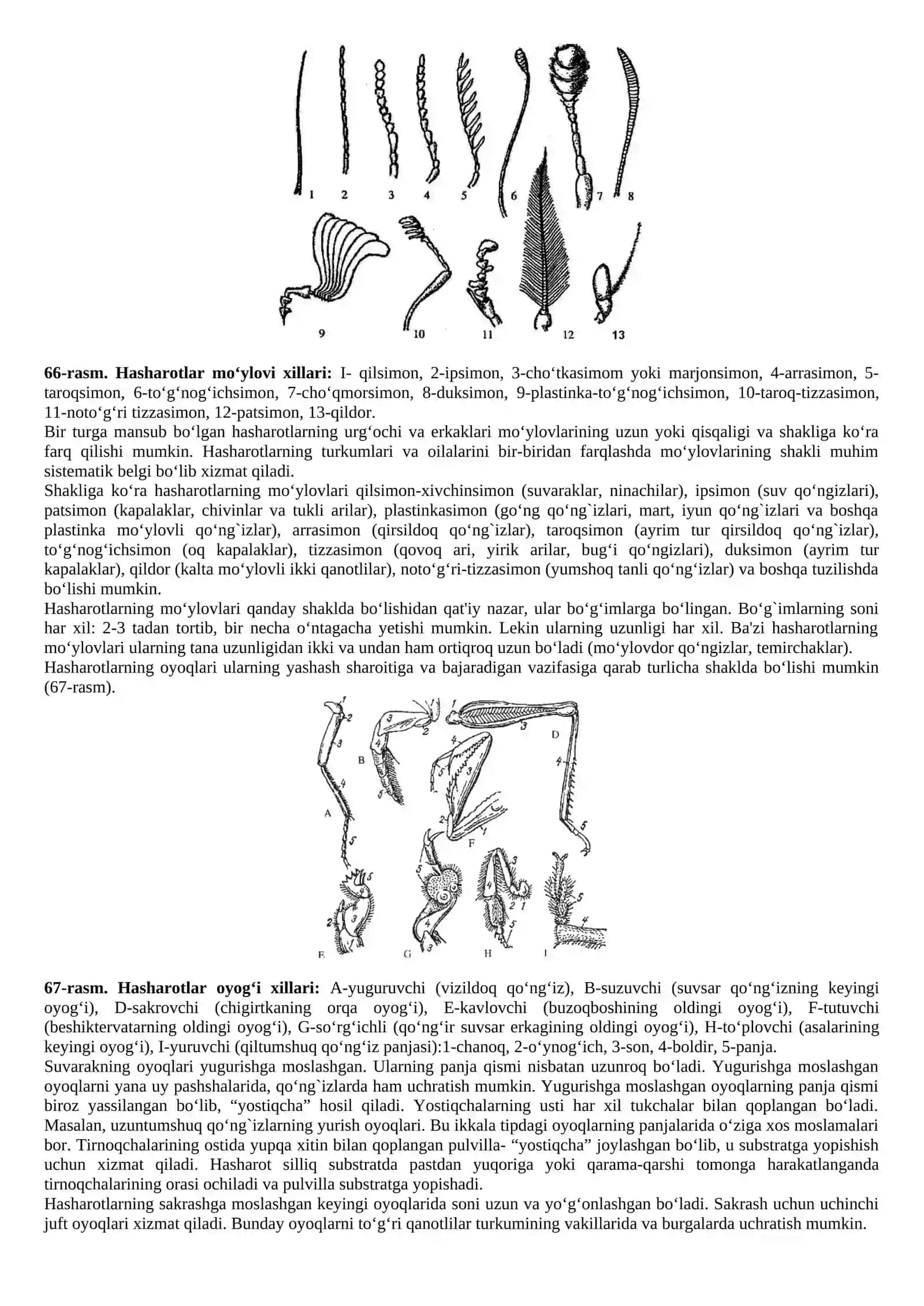 Suvaraklar (Blattoidea) va ularning taksonomik manbalari 3