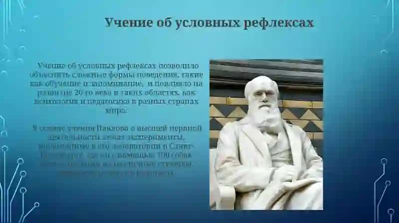 Учение об условных рефлексах 3