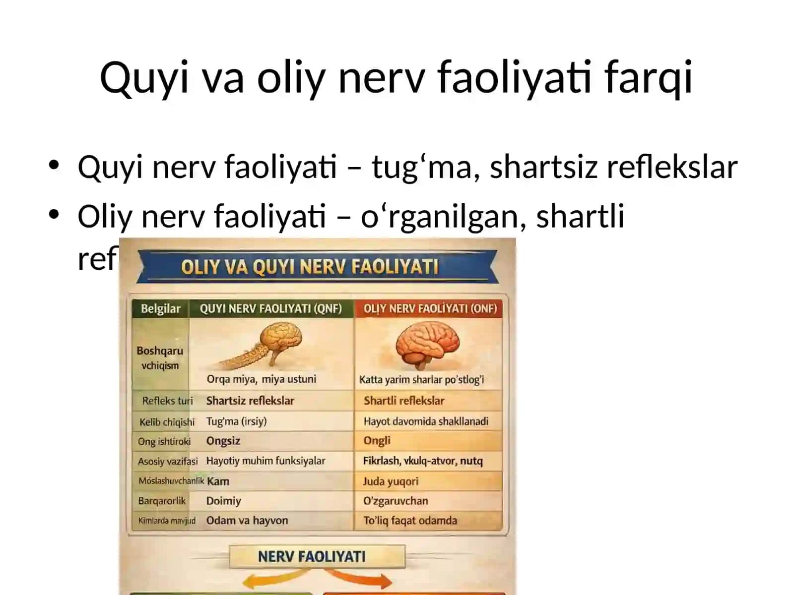 Oliy nerv faoliyati fiziologiyasi 3