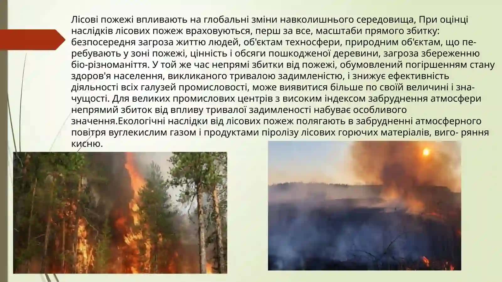Вплив пожеж на стан навколишнього середовища 3