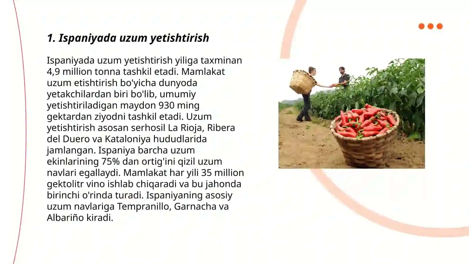 Ispaniya qishloq xoʻjaligi 3