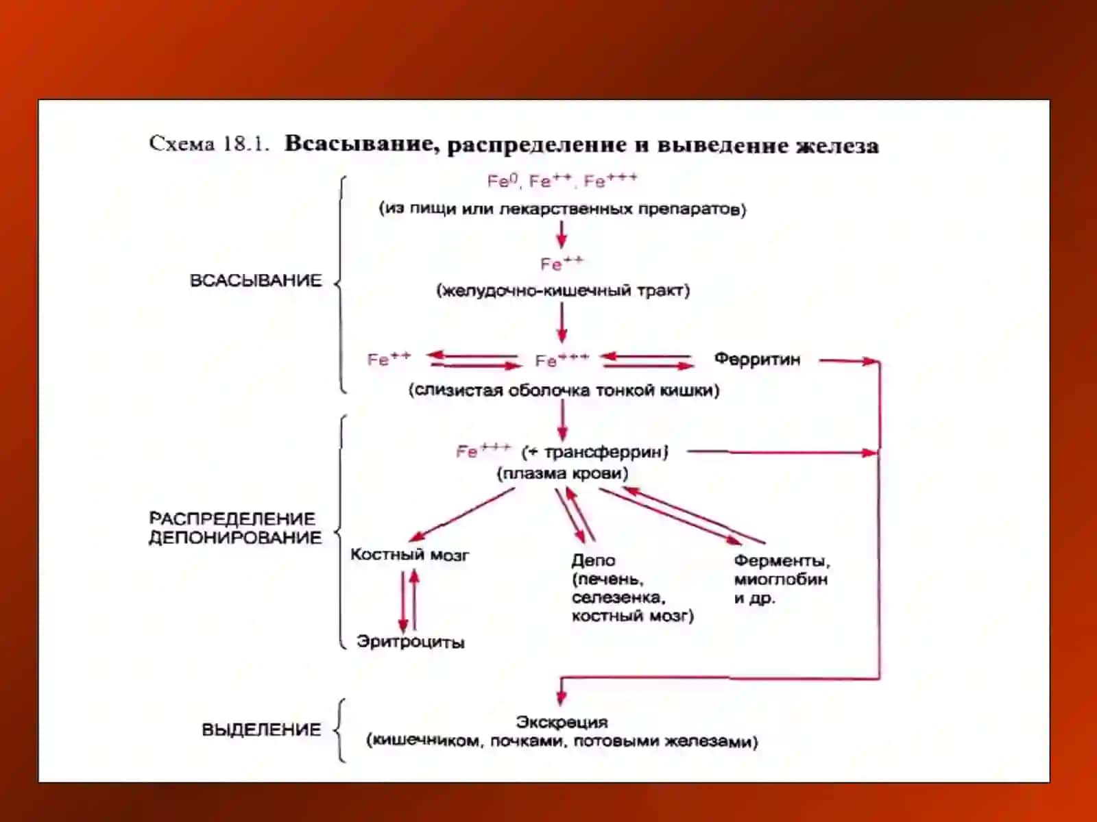 ҚОН СИСТЕМАСИГА ТАЪСИР ЭТУВЧИ ВОСИТАЛР 3