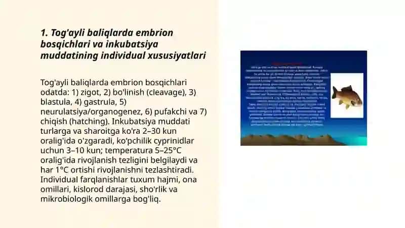 Tog'ayli baliqlarning individual rivojlanish xususiyatlari 3
