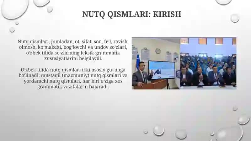 Nutq qismlari, Paronimlar 3