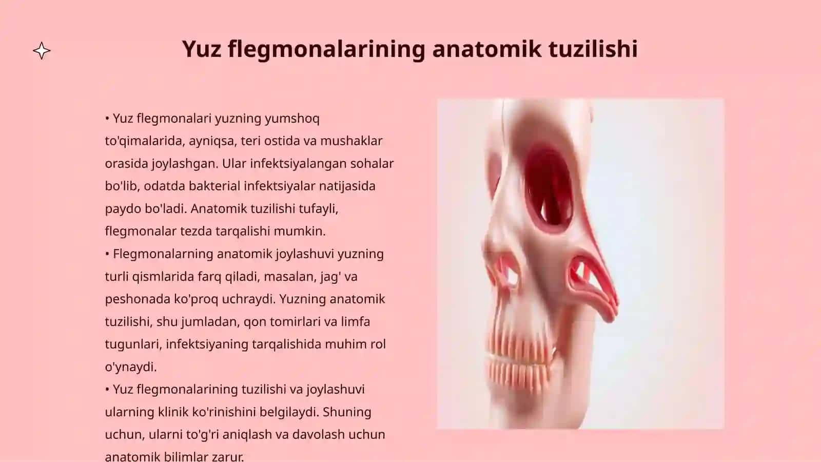 Yuz flegmonalaridagi kesimlarni mulyajda koʻrsata bilish 3