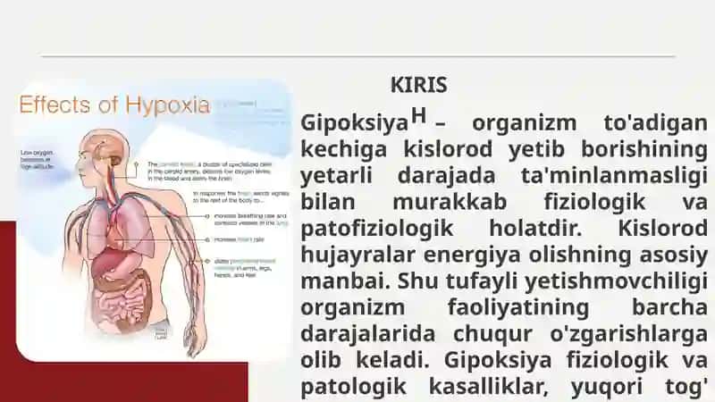 Gipoksiya va uning turlari 3
