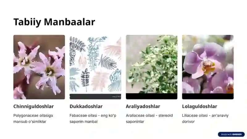 Saponinlar Bo'lgan Dorivor O'simliklar 3