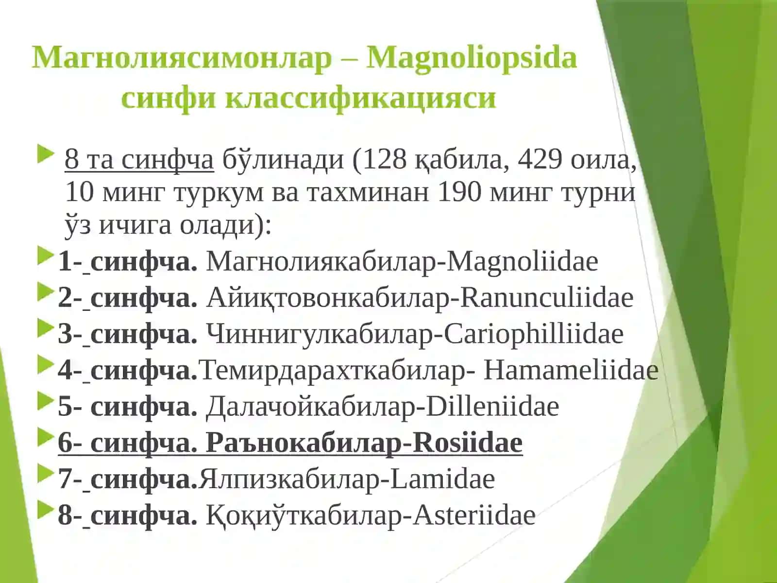 Раънонамолар қабиласи-Rosales 3