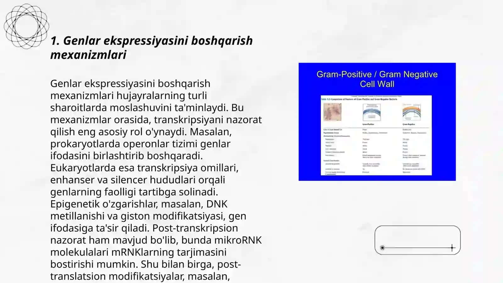 Genlar ekspressiyasini boshqarish mexanizmlari 3