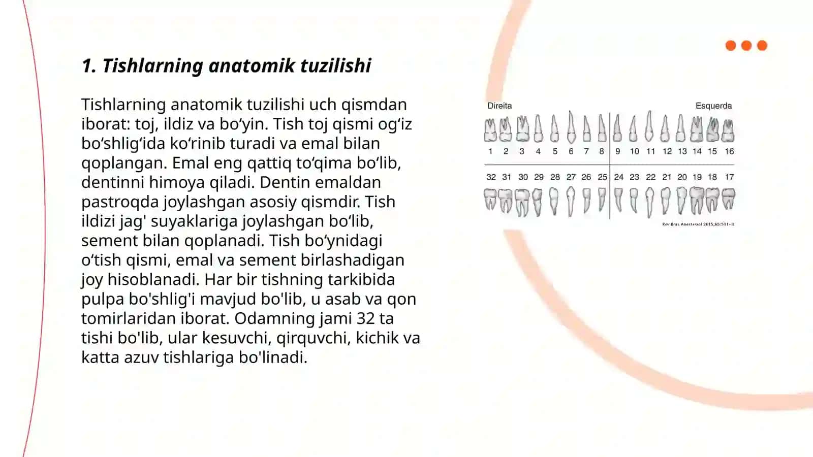 Tishlar anatomiyasi va gistalogiyasi 3