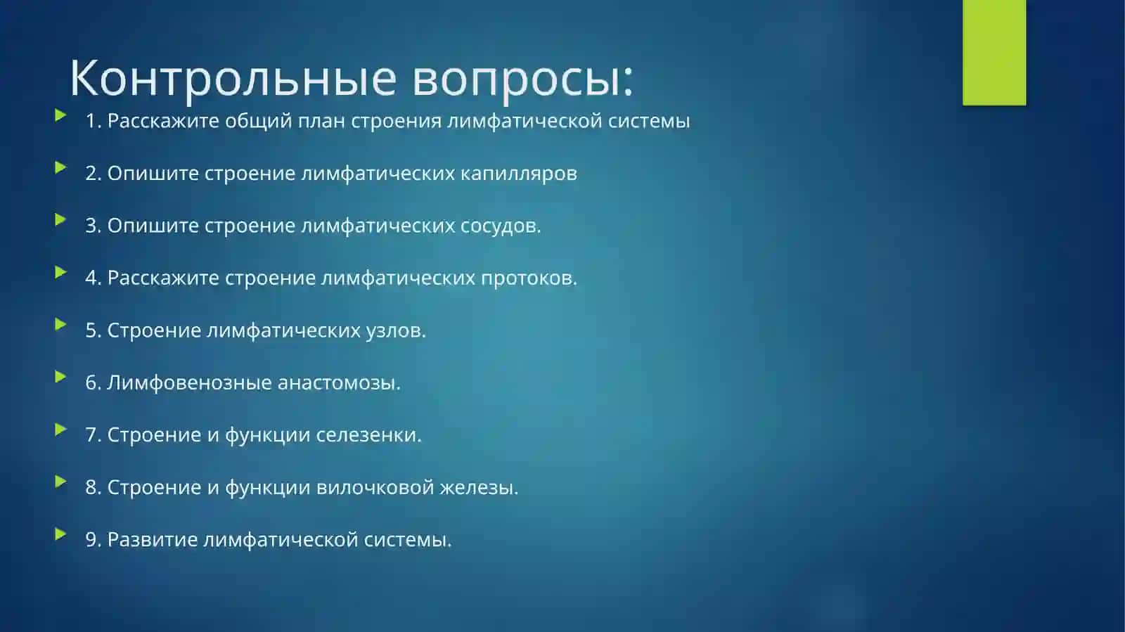 Функциональная анатомия лимфатической системы 3