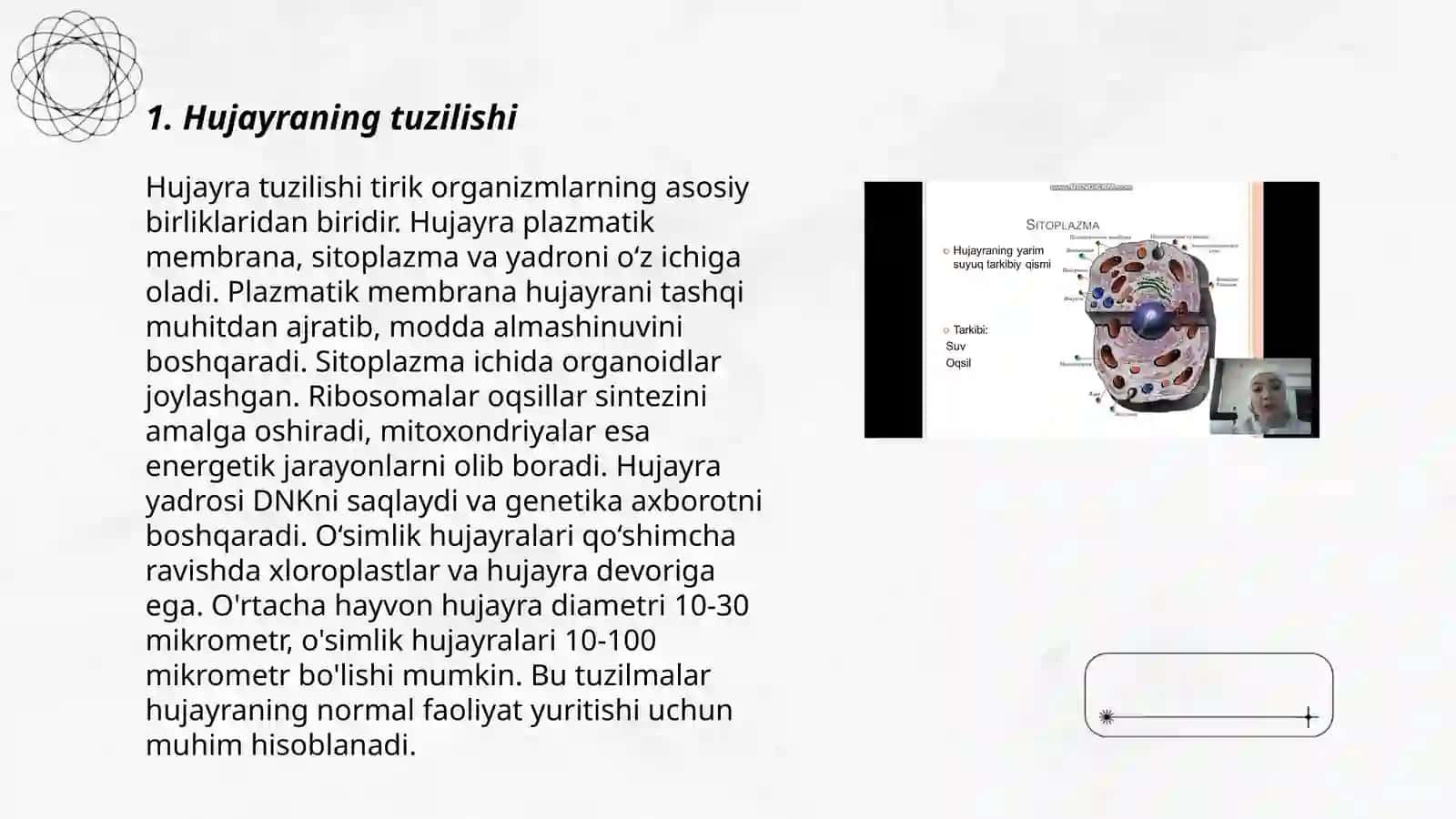 Hujayra tuzilishi 3