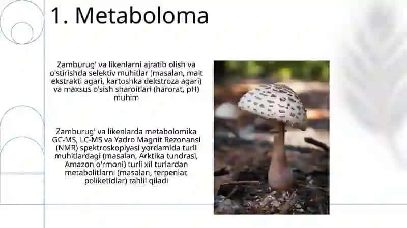 Metaboloma 3