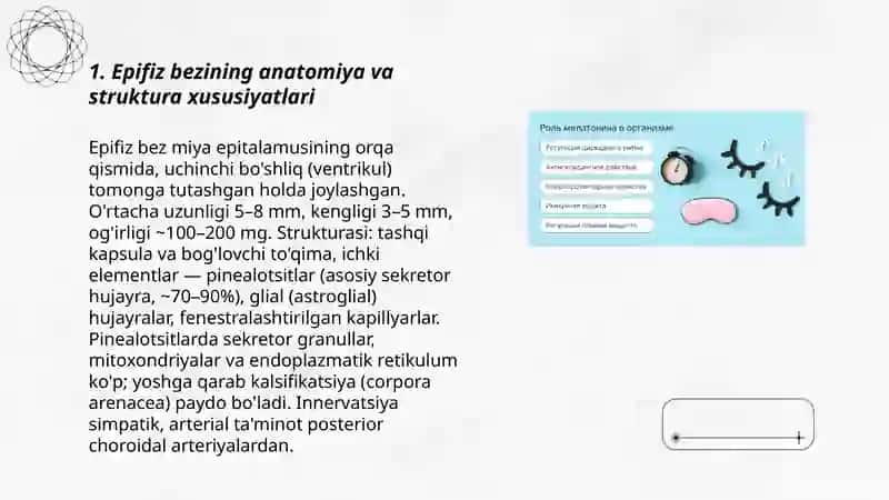 Epifiz bezining melatonin gormoni va sirkadiyal ritmlarni boshqarishdagi roli 3