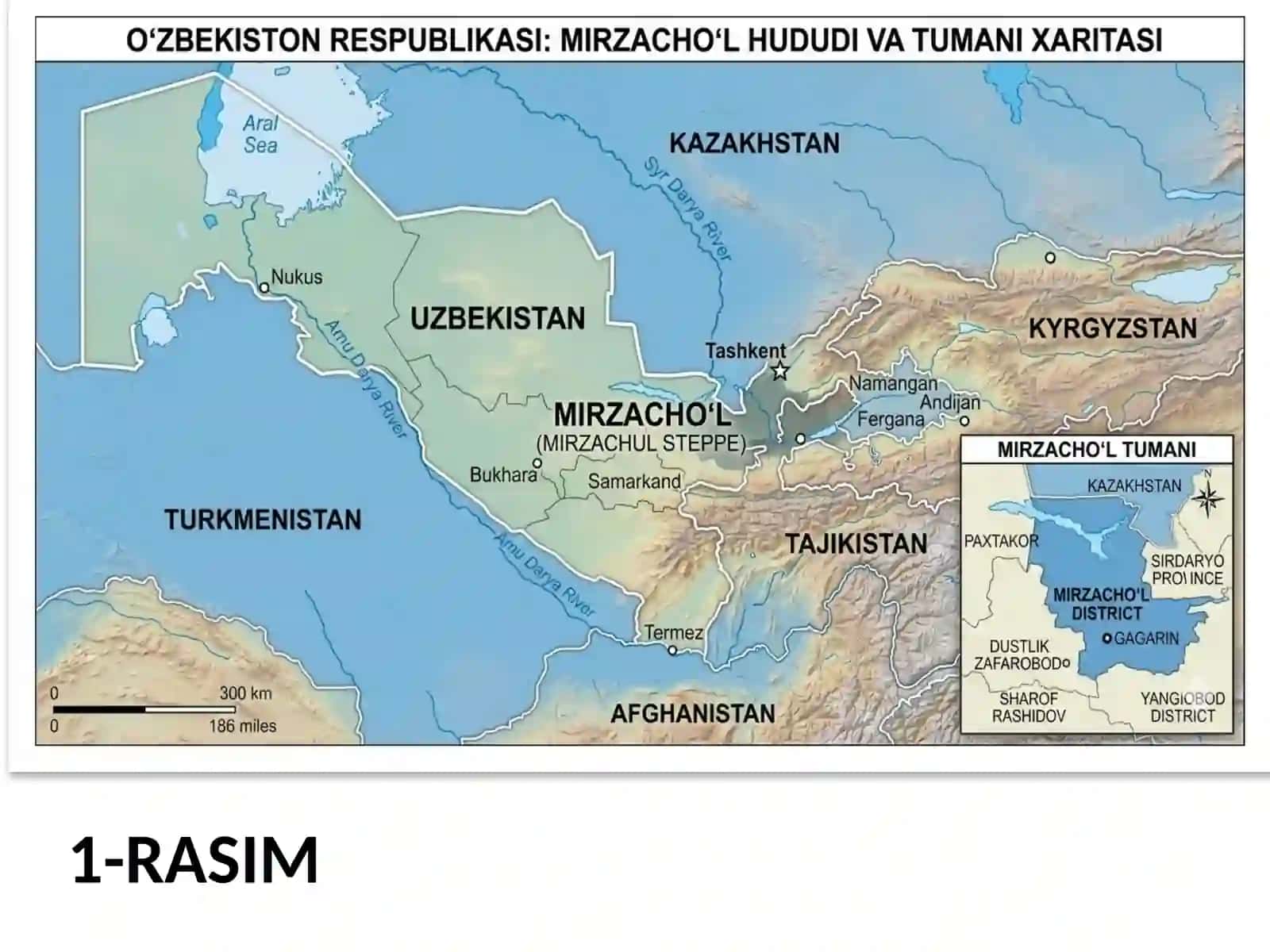 Mirzachol tabiyy geografik okrugi,Iqlimi,Suvlari,Tuproqlari,O`simlik va hayvonot dunyosi 3