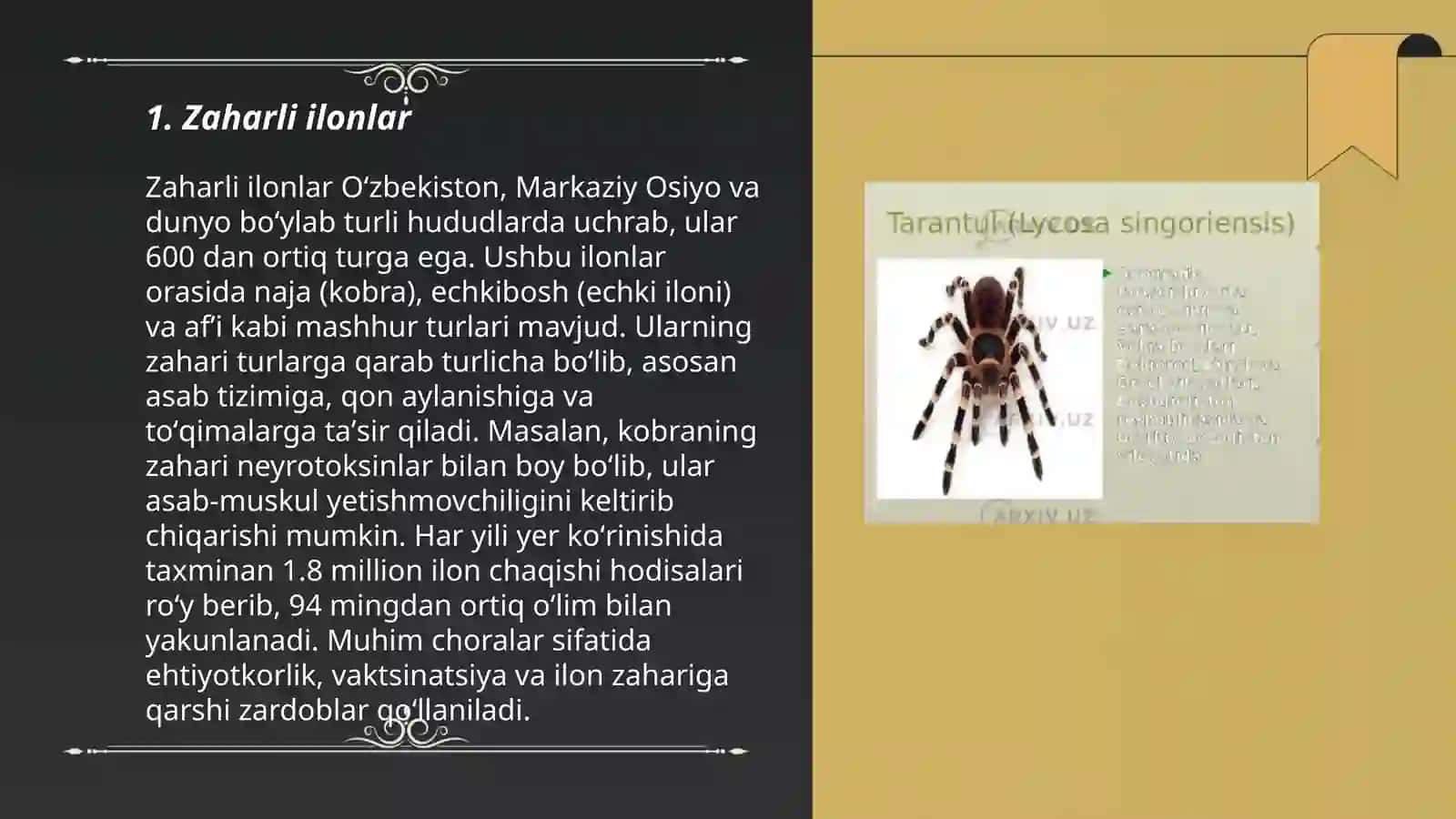 Zaharli ilonlar 3