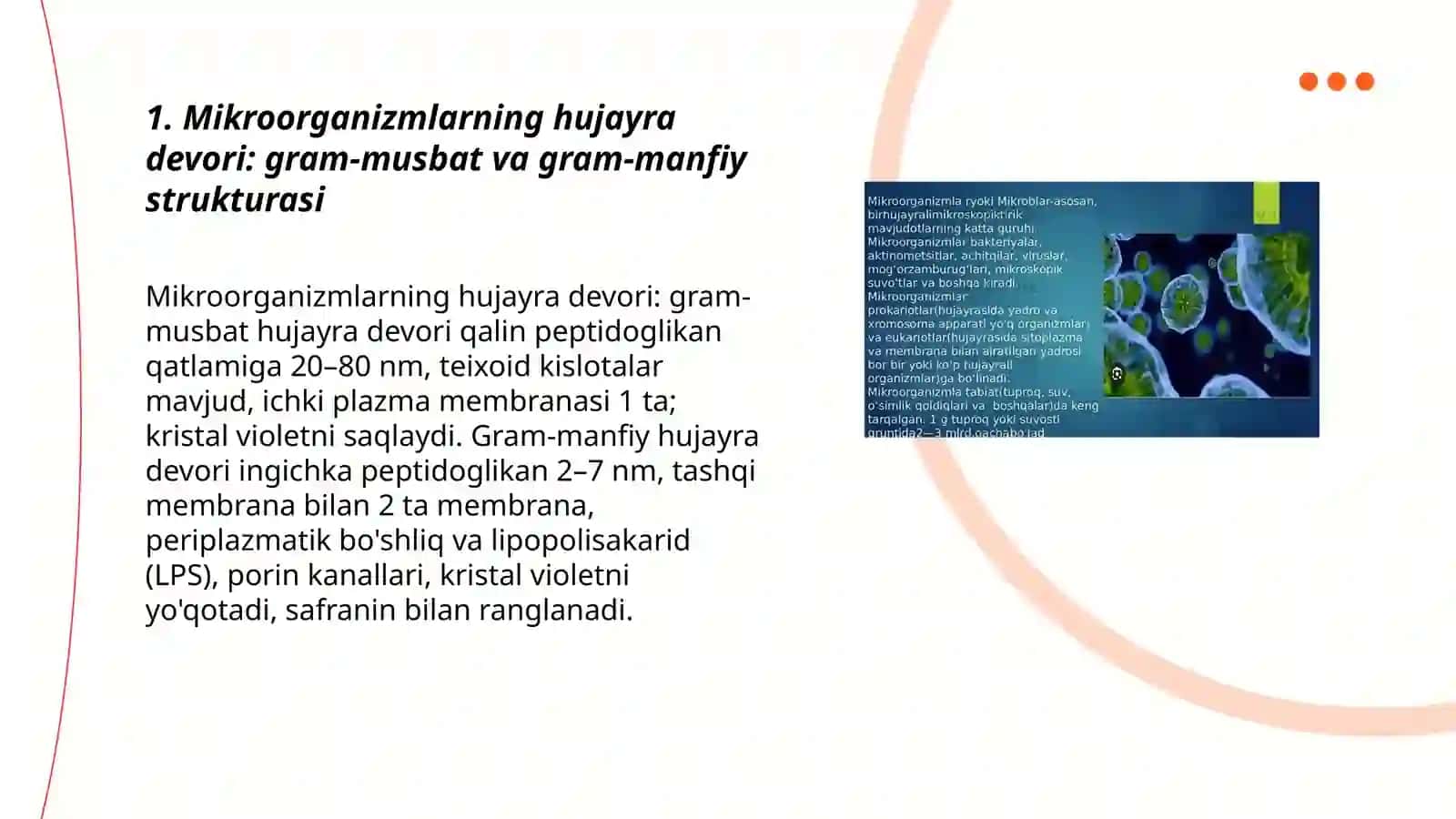 Mikroorganizmlarning strukturasi, murakkab bo'yash usullari 3