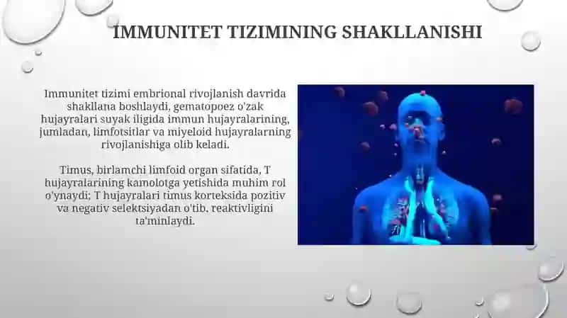 Immunitet tizimining shakllanishi va rivojlanishi 3