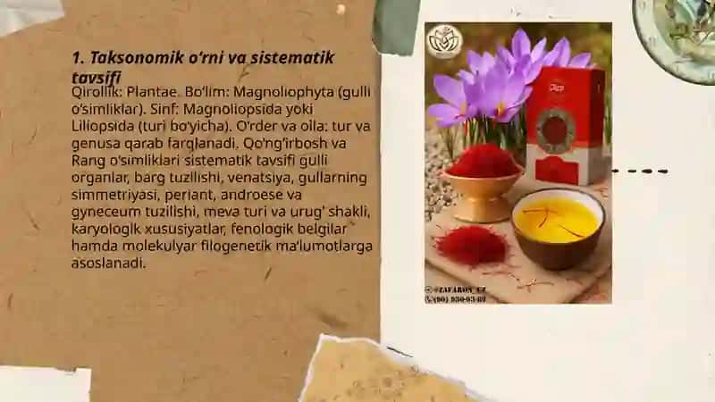 Qo‘ng‘irbosh va Rang o‘simligining biologik va morfologik belgilari 3
