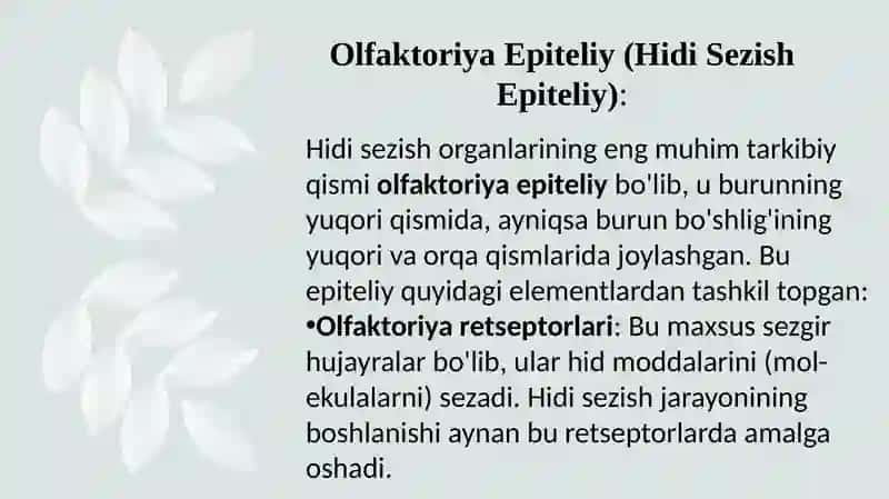 HID BILISH A’ZOLARI 3