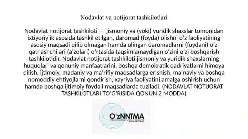 Nodavlat va notijorat tashkilotlarida aktivlar auditini tashkil etish 3