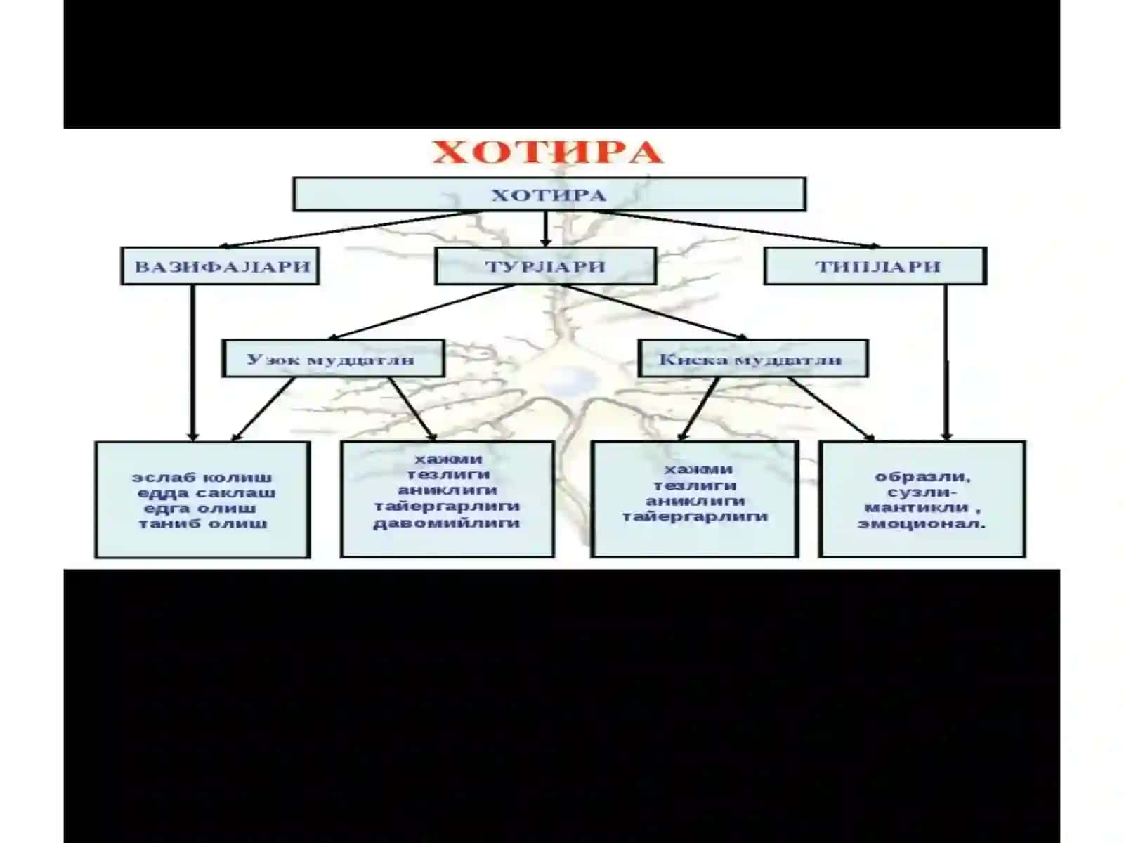 Xotira haqida umumiy tushuncha va nervfeziologiyasi 3