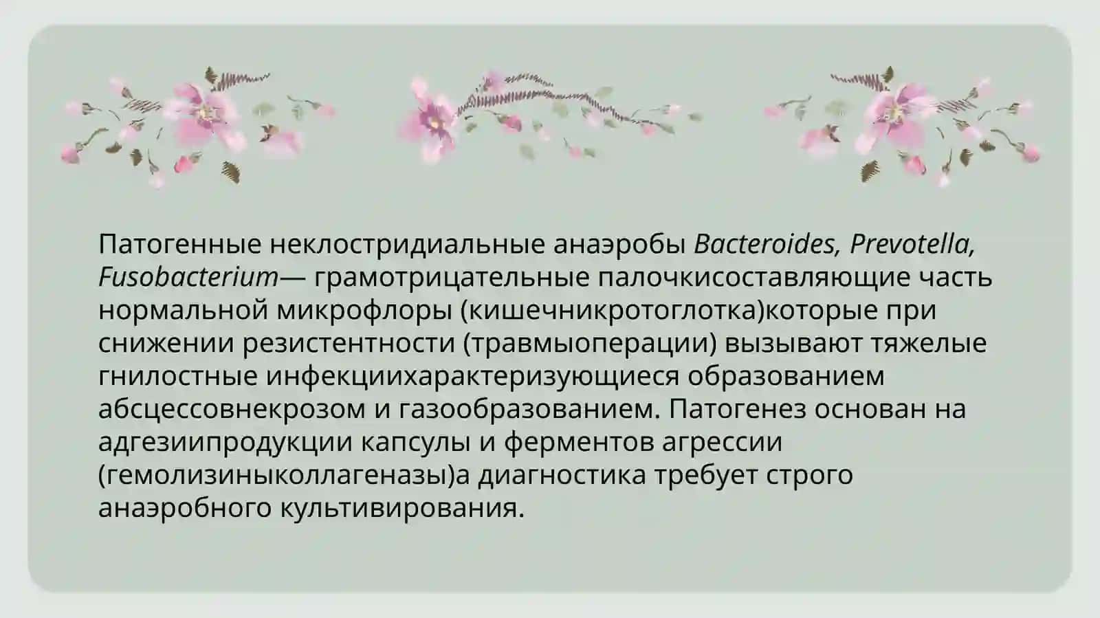Патогенные анаэробные неклостридиальные возбудители ( Bacteroides, Prevotella, Fusobacterium) - патогенез, лабараторная диагностика 3