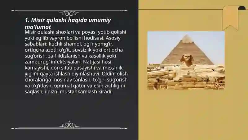 Misir qulashi 3