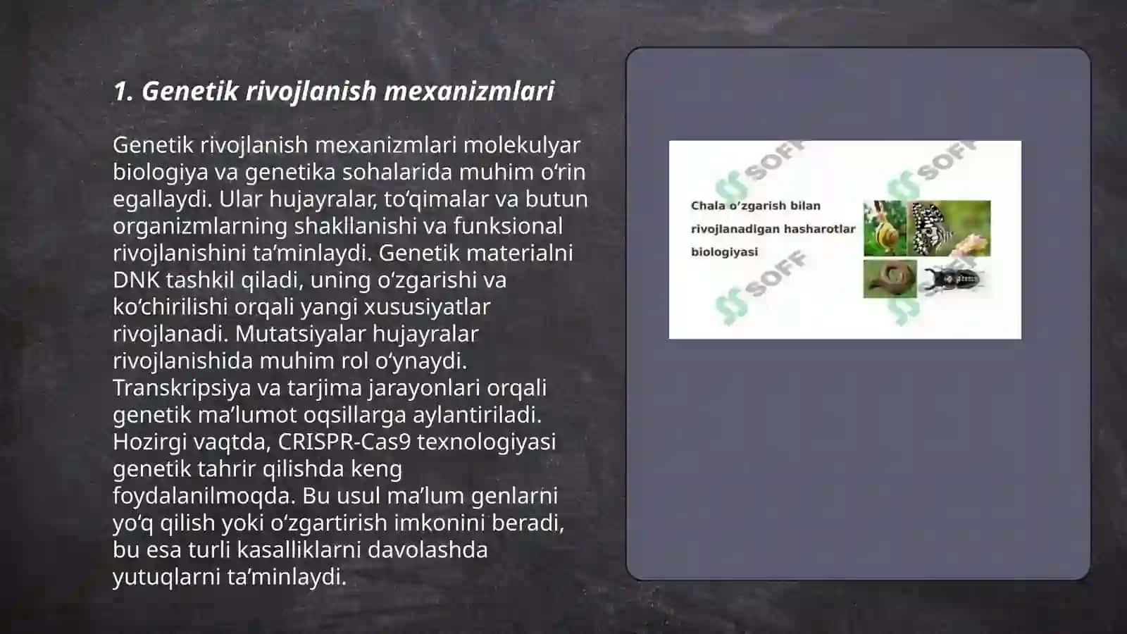 Rivojlanish biologiyasi 3