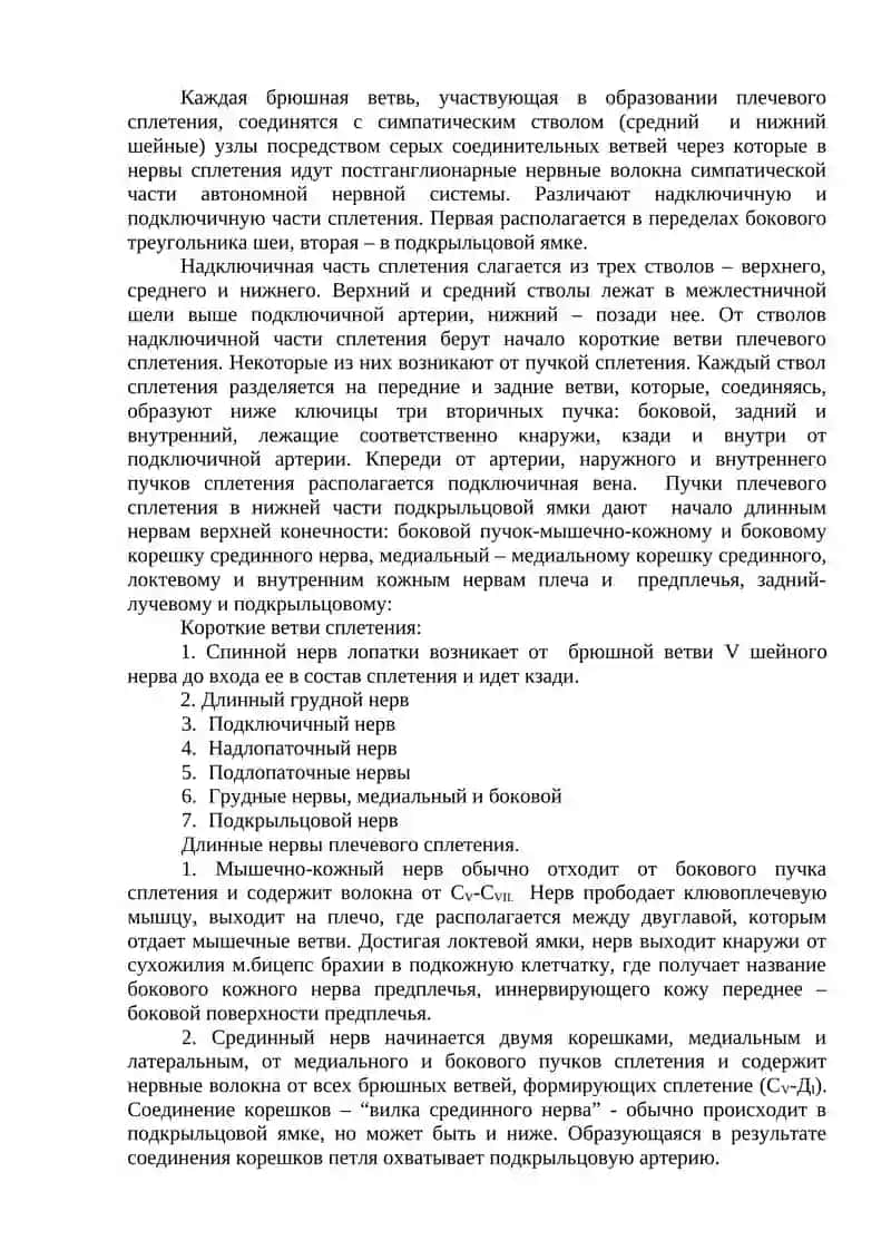 ПЕРИФЕРИЧЕСКАЯ НЕРВНАЯ СИСТЕМА. СПИННО МОЗГОВЫЕ НЕРВЫ 3