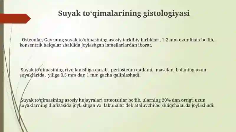 Skelet suyaklarning rentgenanatomiyasi.Skeletni rivojlanish anamiliyasi 3