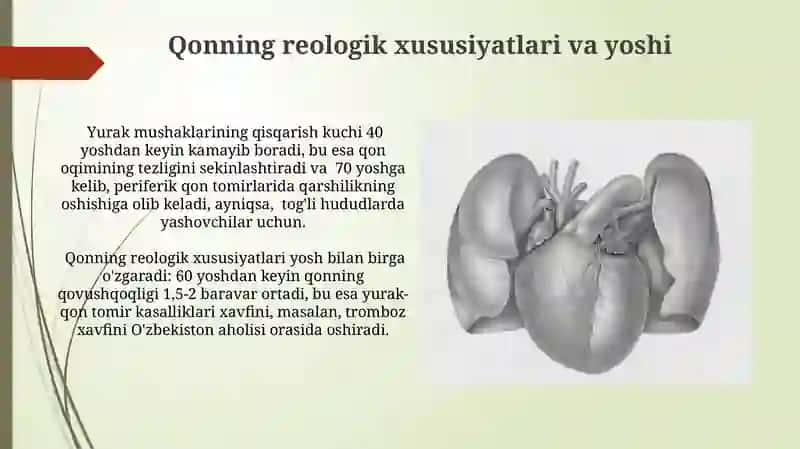 Yurak qon tomir tizimining yoshga doir xususyatlari va gigiyenasi 3