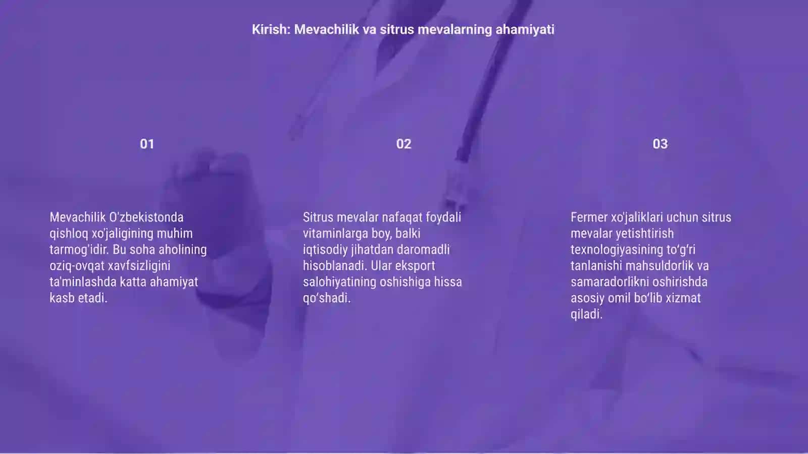 Mevachilikka ixtisoslashgan fermer xo'jaligida sitrus meva ko'chatini yetishtirish texnologiyasini tanlash 3