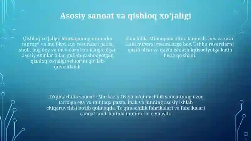 Iqtisodiyotni diversifikatsiya qilish 3
