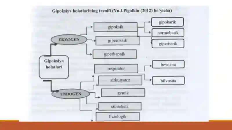 Yopiq muhitdagi asfiksiya 3