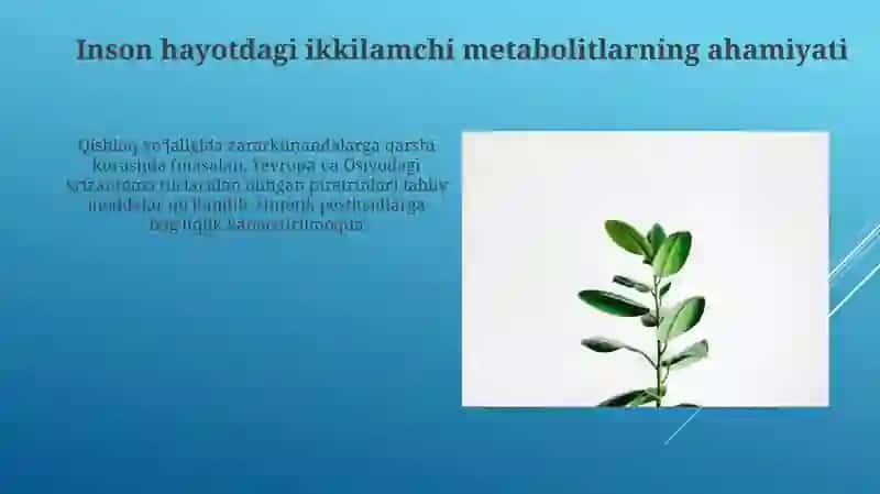 O'simliklarning kelib chiqishi ikkilamchi bo'lgan moddalar 3