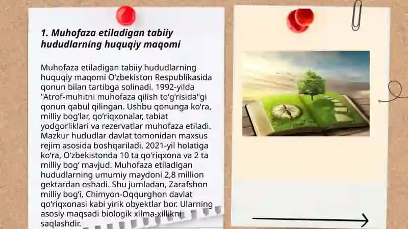 Muhofaza etiladigan tabiiy hududlar va o'rmonlarning huquqiy holati 3
