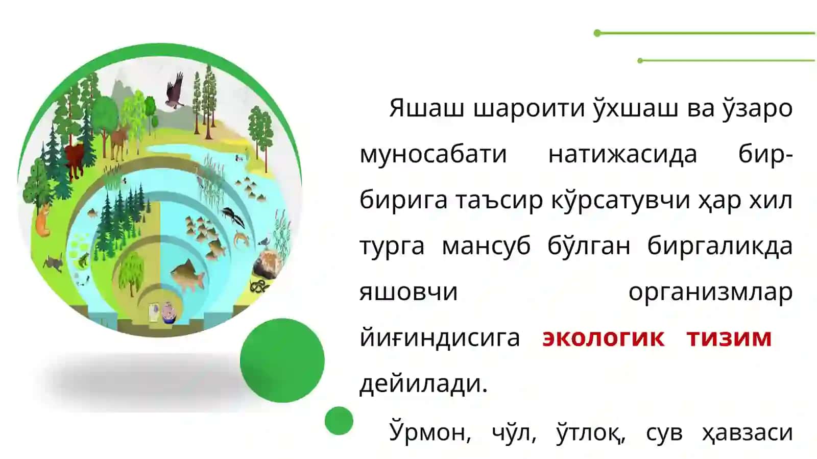 Биогеоценология(Экосистема ҳақидаги таълимот) 3