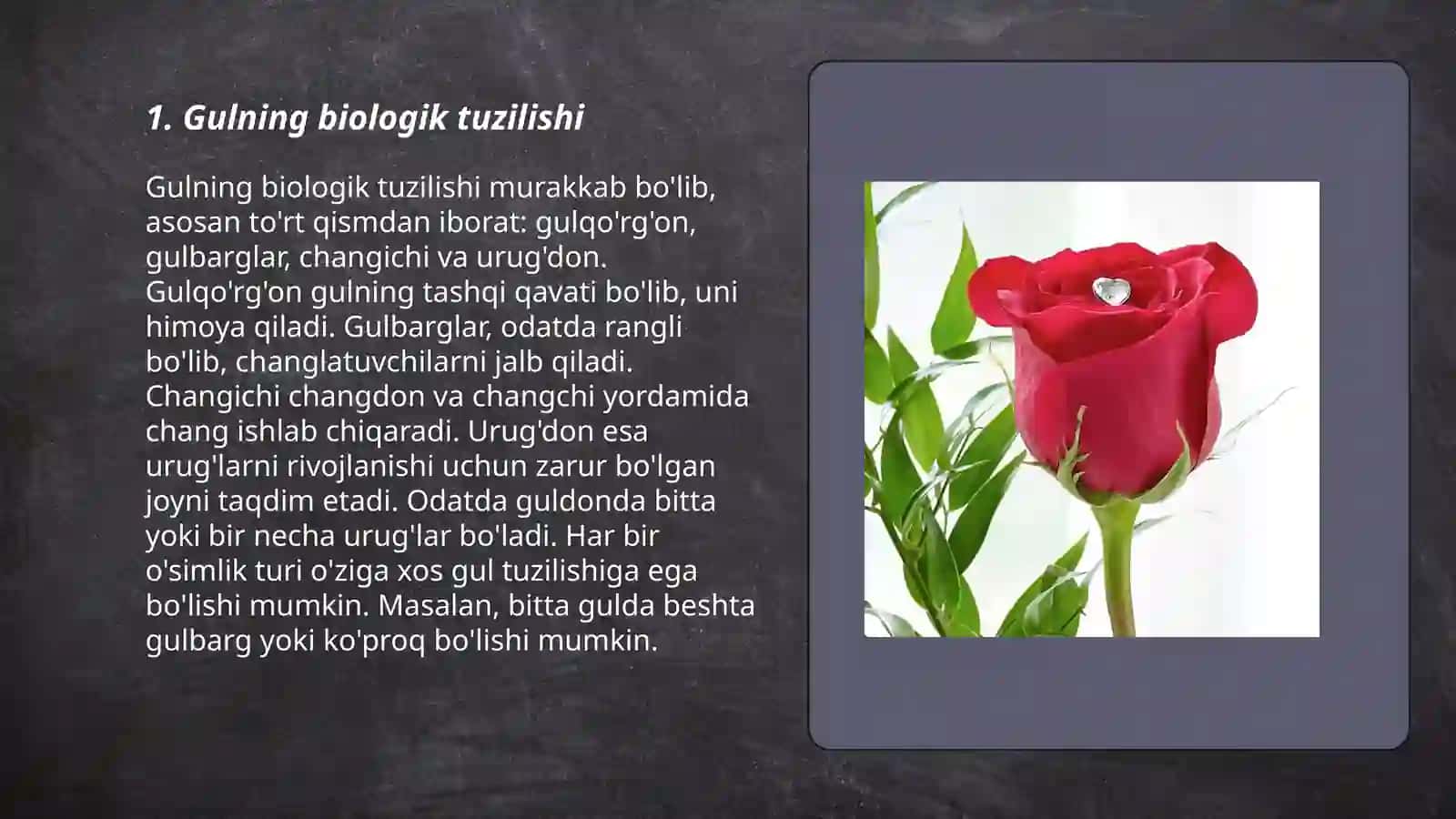 Gulning biologik tuzilishi 3
